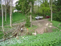  bare patch on the right where we had been dragging the logs out - we've now moved to the area on the left of the shot, dragged this lot across ready for uplifting